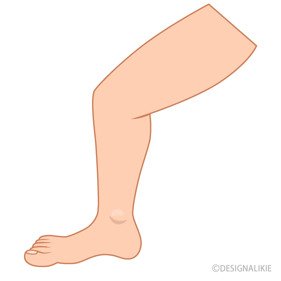 男性の脚