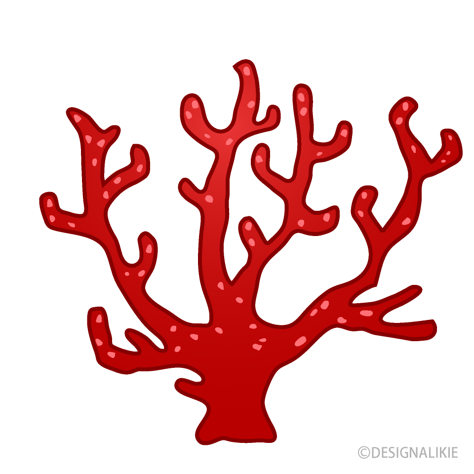 かわいい赤サンゴ