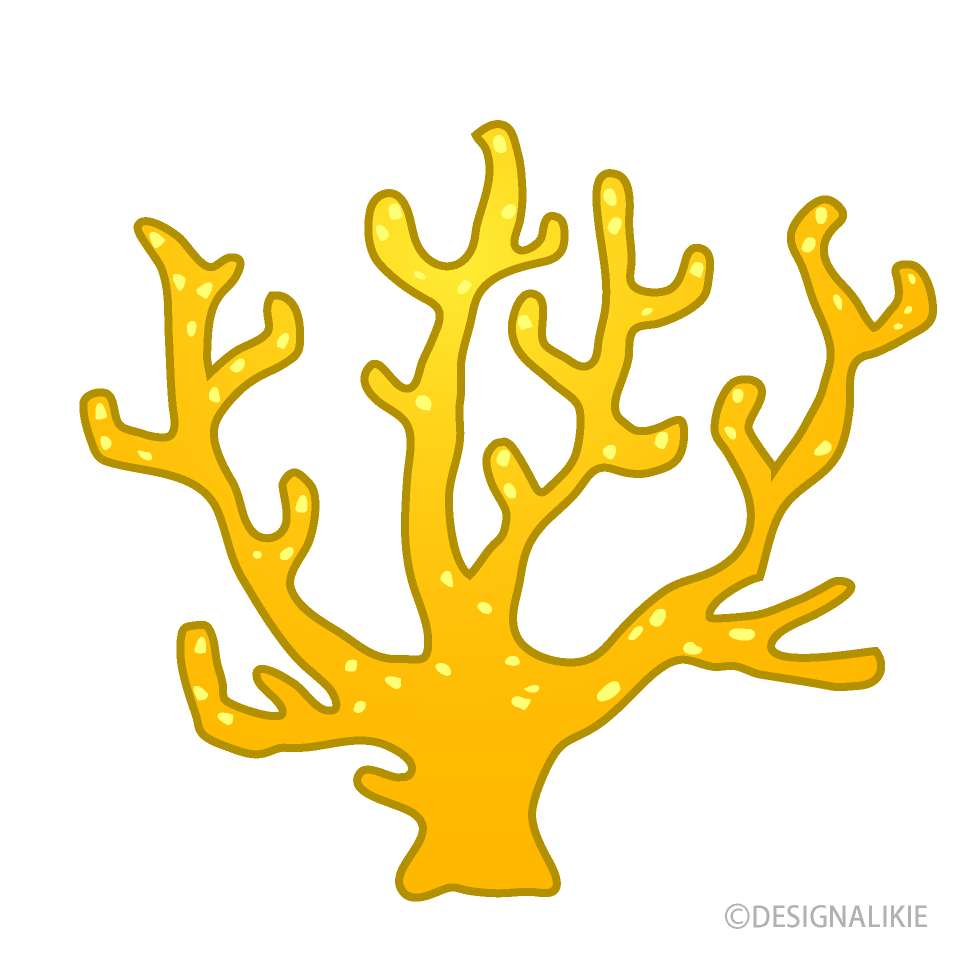 かわいい黄色サンゴ