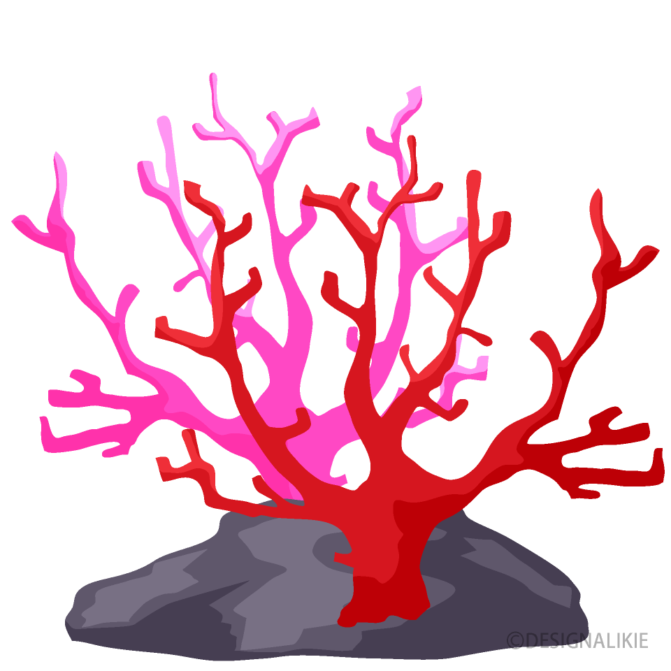 赤とピンクのサンゴ