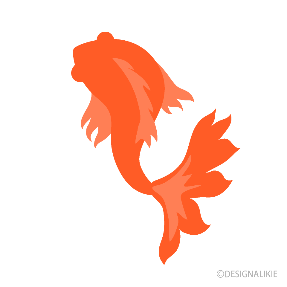 オレンジ色の金魚（上）