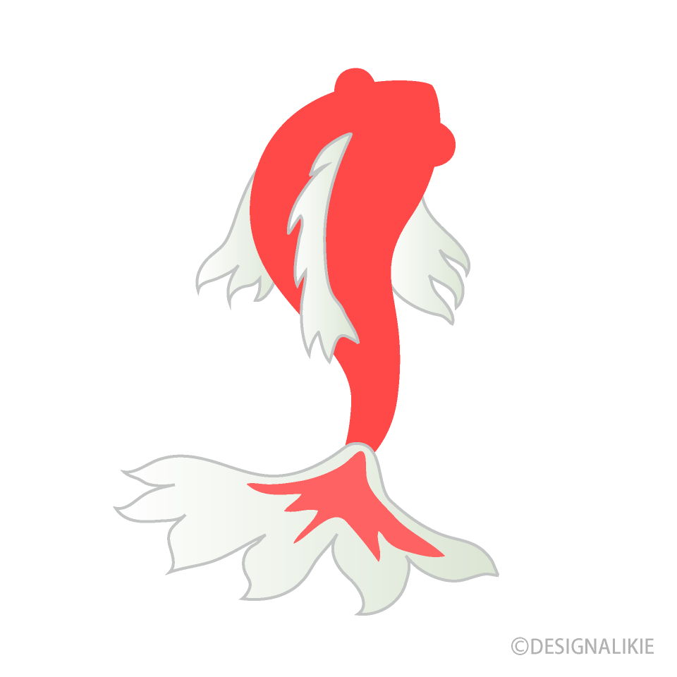 赤白の金魚（上）