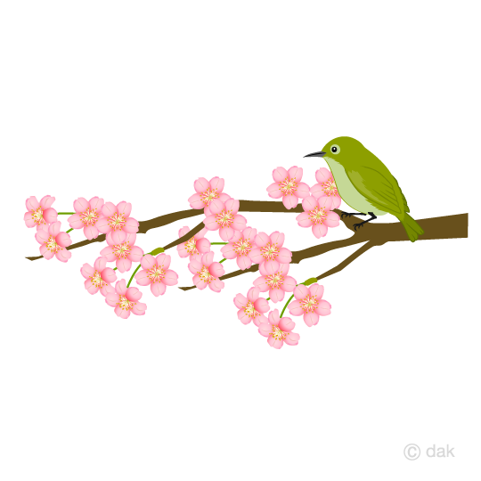 ウグイスと桜の無料イラスト素材 イラストイメージ