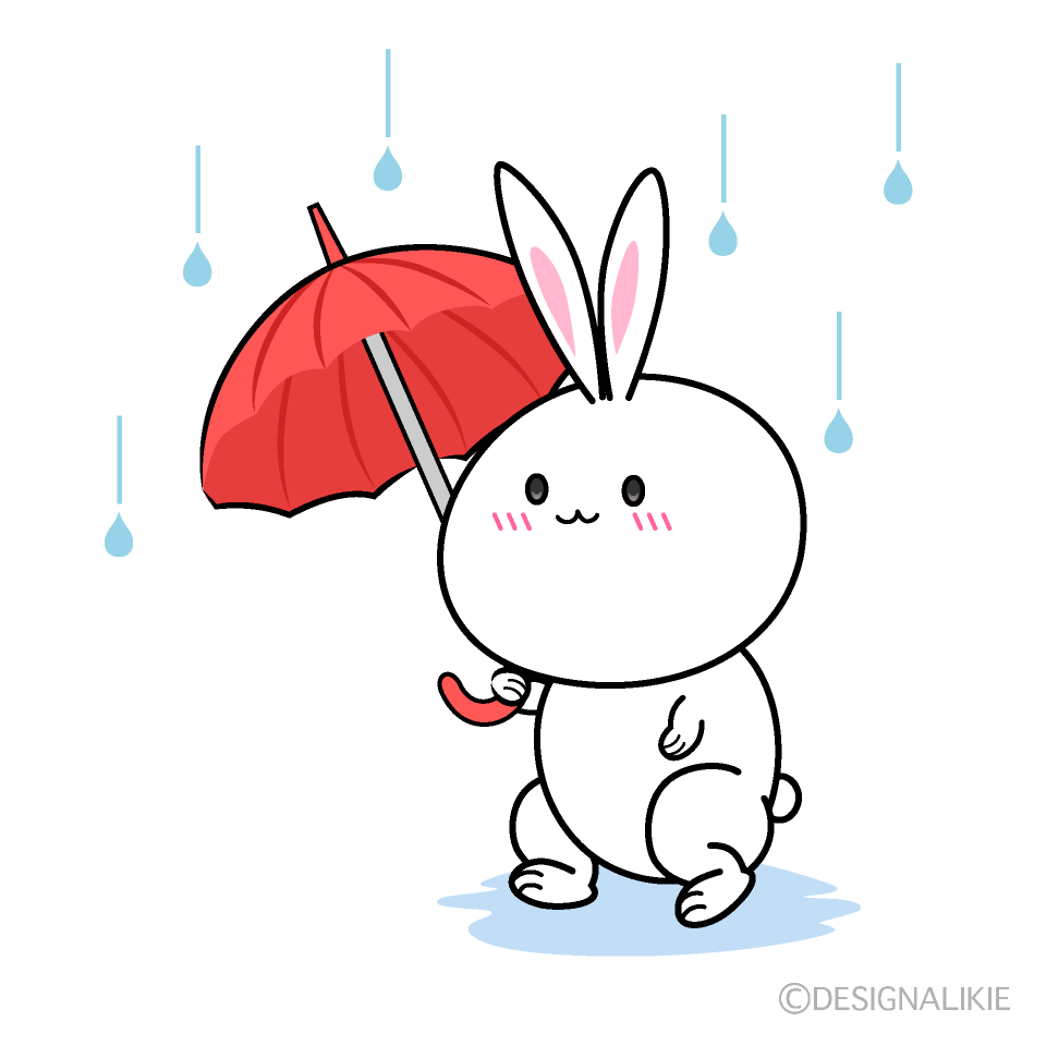 歩く雨の日のウサギ