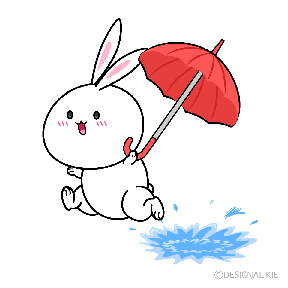 走る雨の日のウサギ