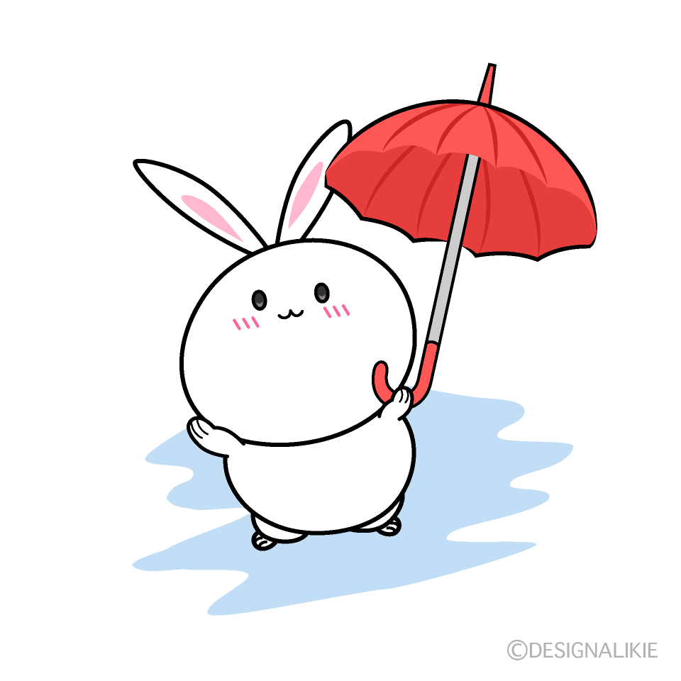 見上げる雨の日のウサギ