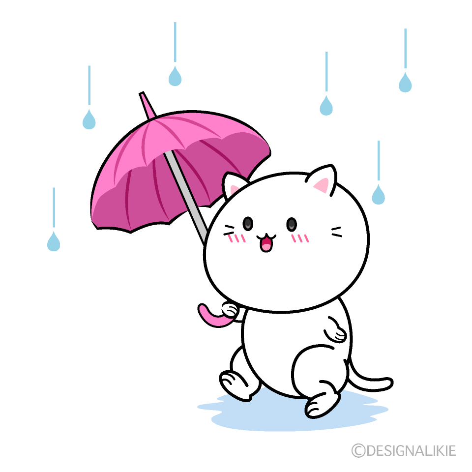 歩く雨の日のネコ