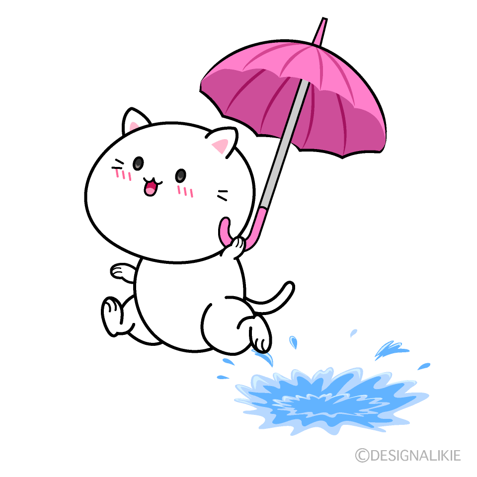 走る雨の日のネコ