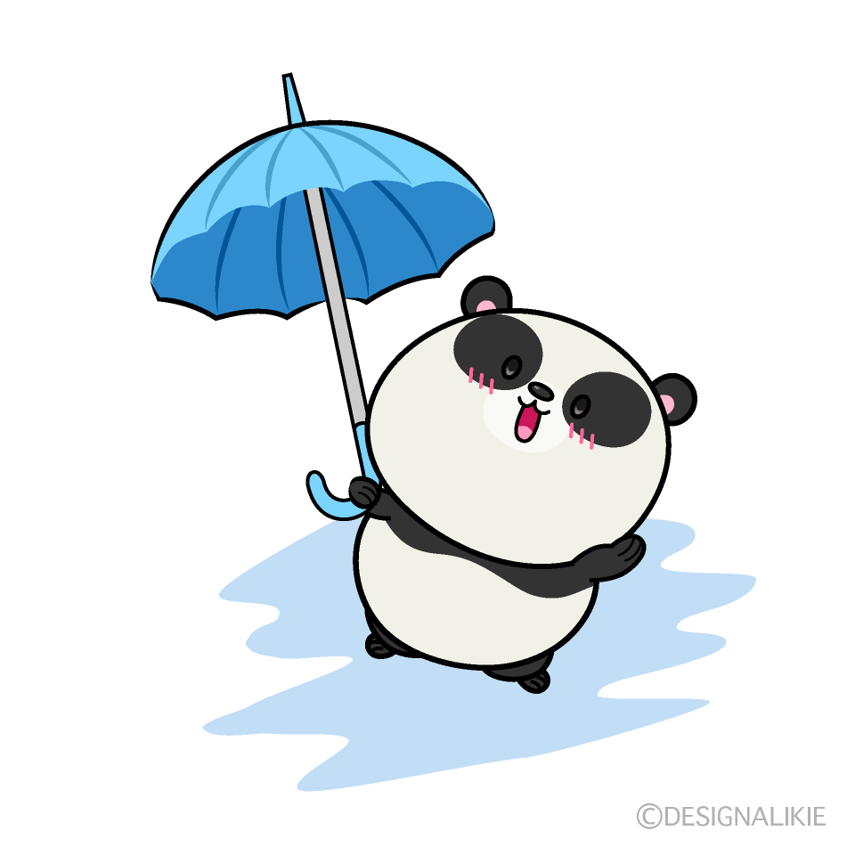 見上げる雨の日のパンダ