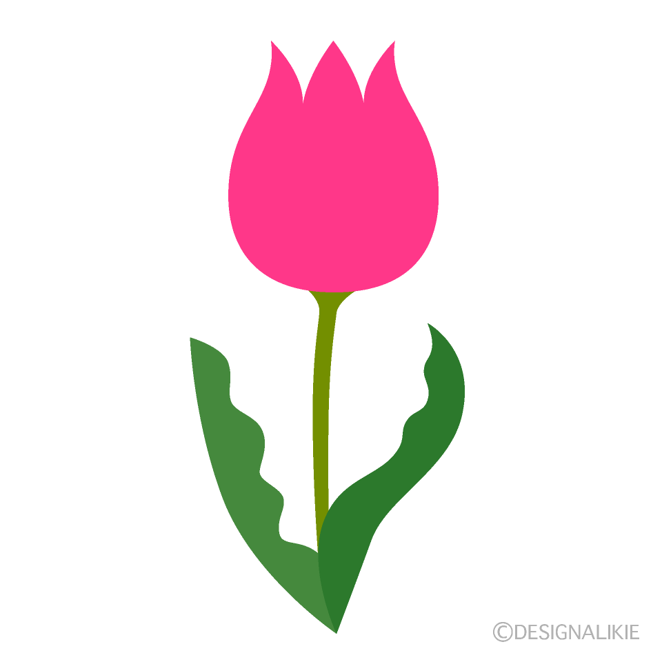 ピンクのチューリップの無料イラスト素材 イラストイメージ