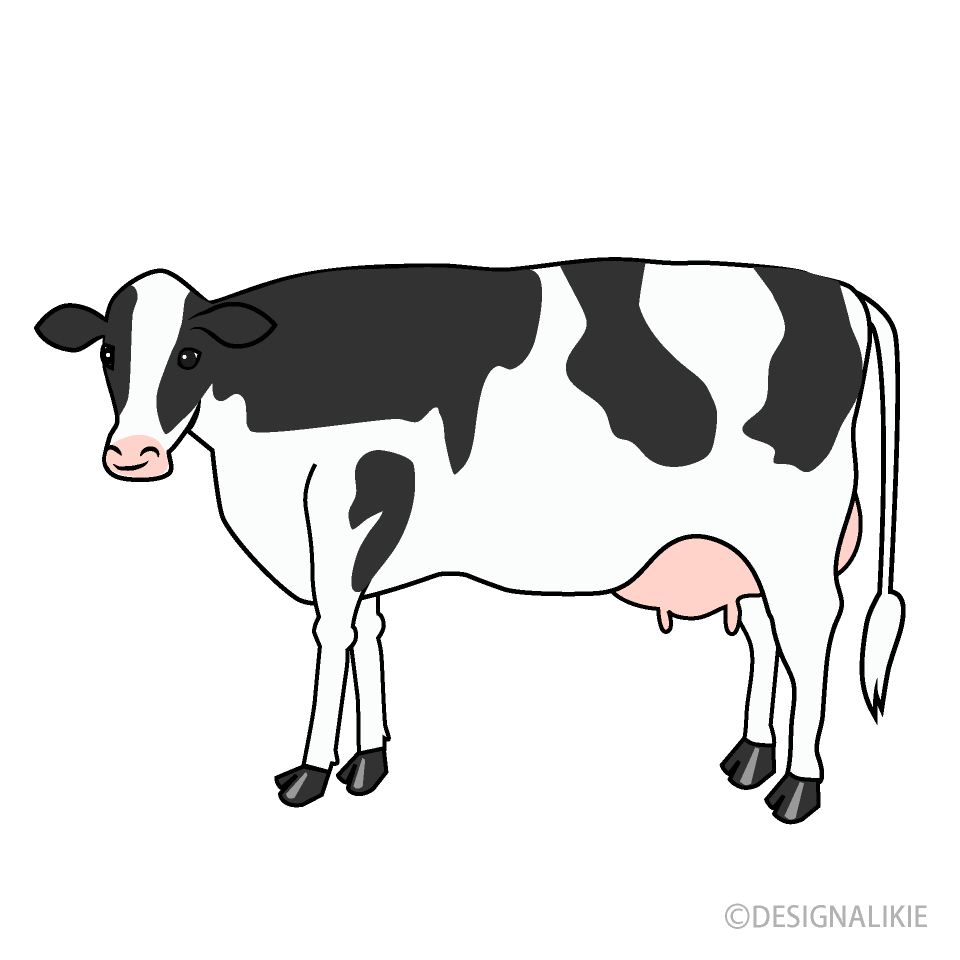 ホルスタインの牛イラストのフリー素材 イラストイメージ