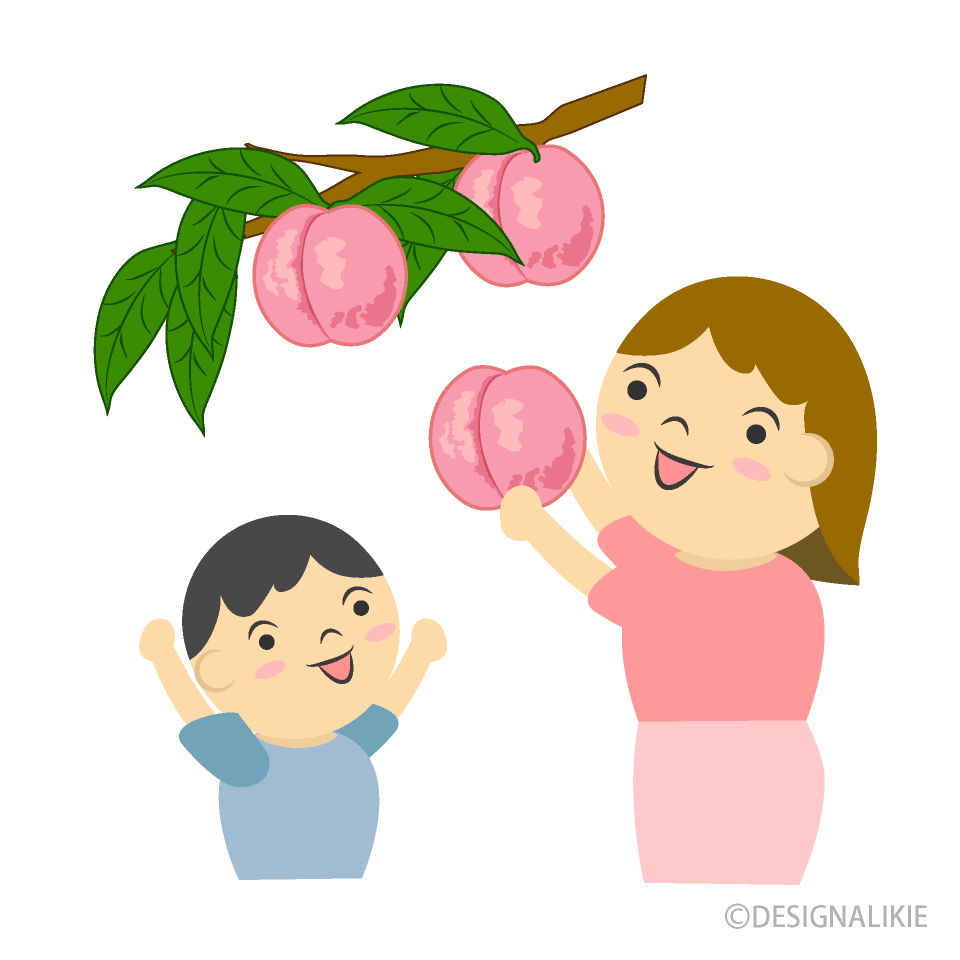 桃狩りする家族の無料イラスト素材 イラストイメージ