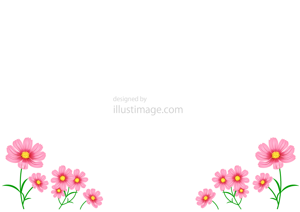 コスモス花のフレームイラストのフリー素材 イラストイメージ