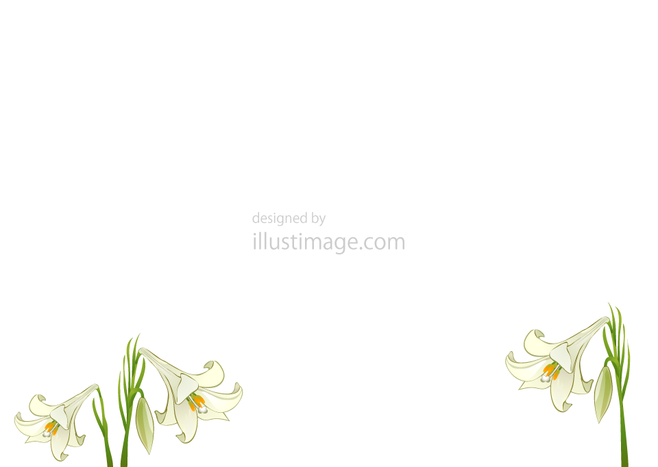 白いユリの花イラストのフリー素材 イラストイメージ