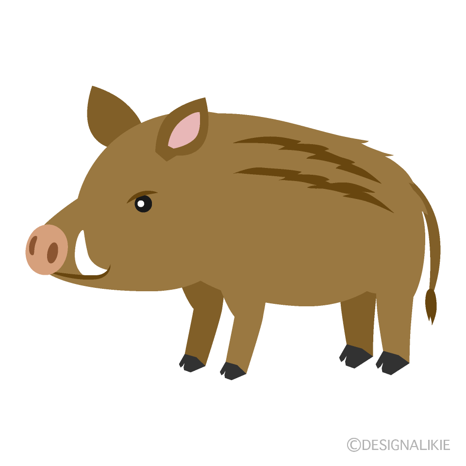 猪の無料イラスト素材 イラストイメージ