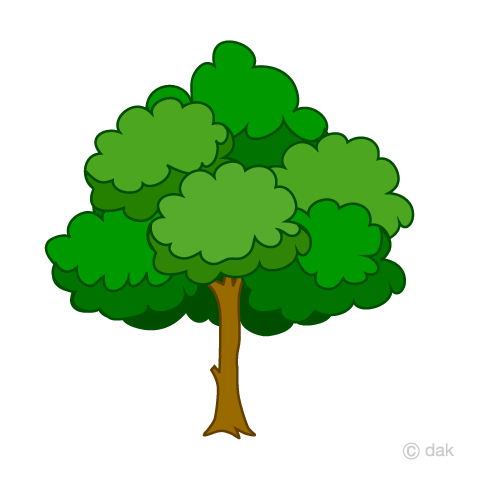 広い木