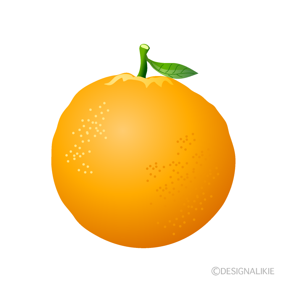 葉っぱ付きオレンジ