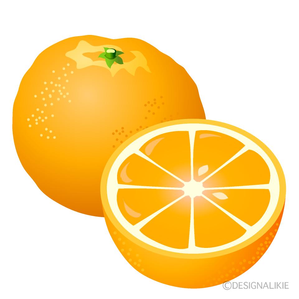 カットしたオレンジの無料イラスト素材 イラストイメージ