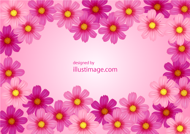 敷き詰めたコスモスの花フレームの無料イラスト素材 イラストイメージ