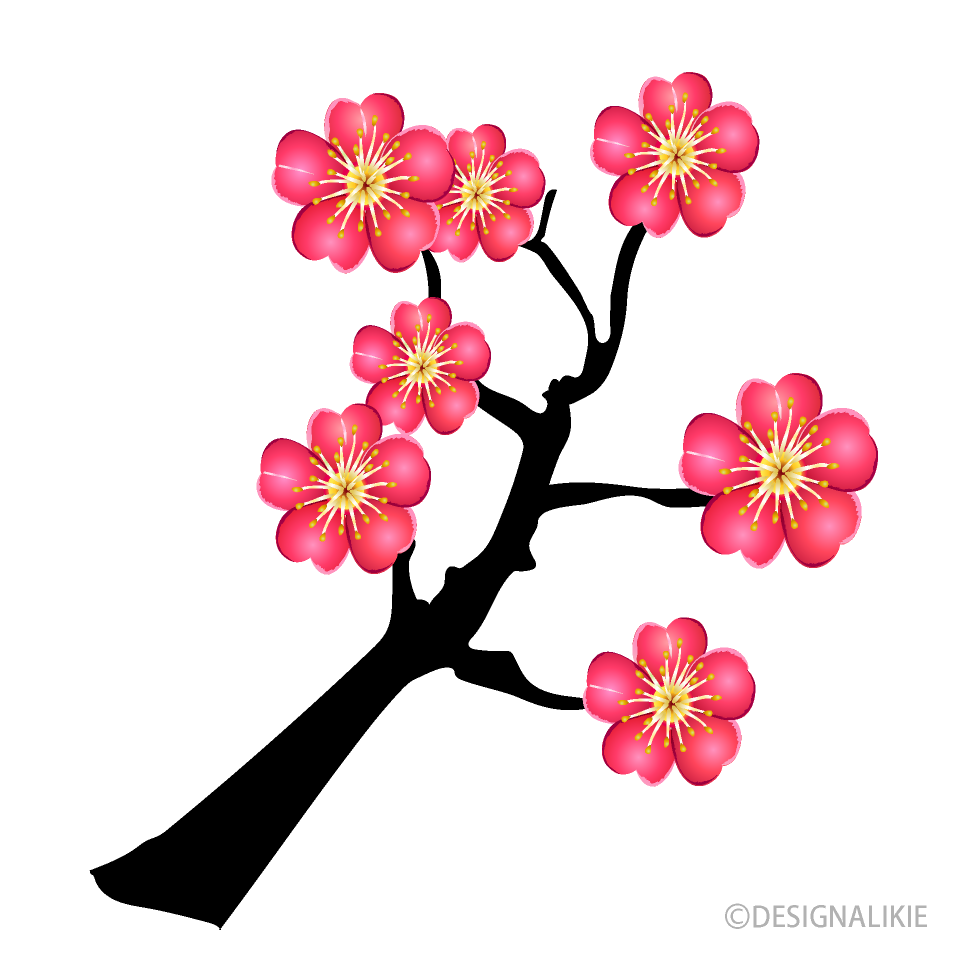 木に咲く梅の花の無料イラスト素材 イラストイメージ
