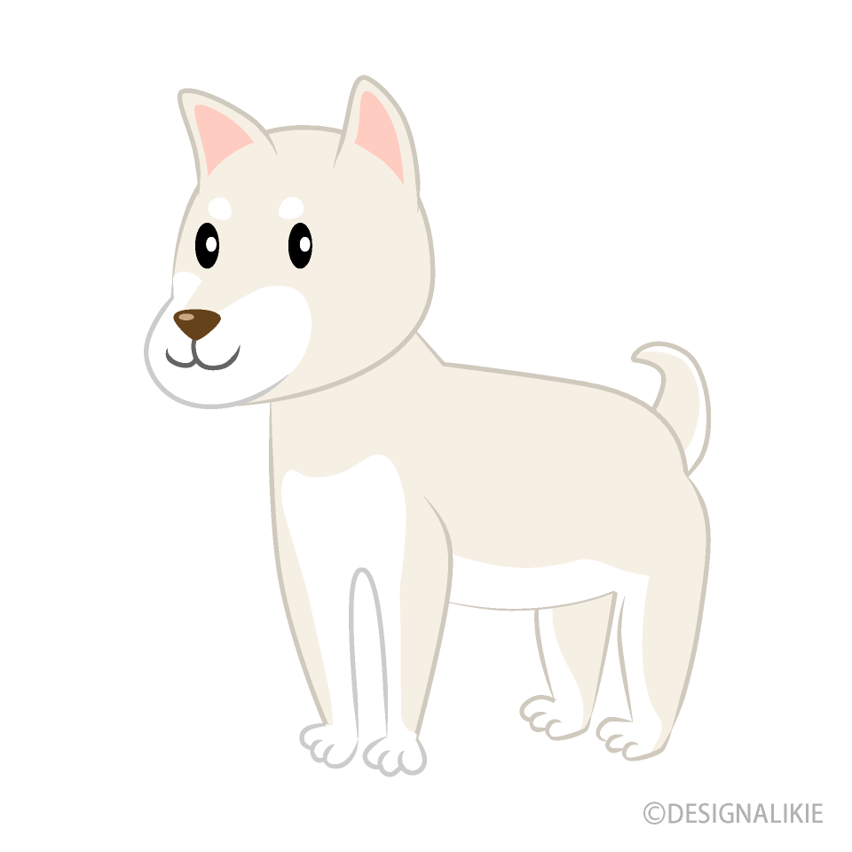 白い柴犬の無料イラスト素材 イラストイメージ