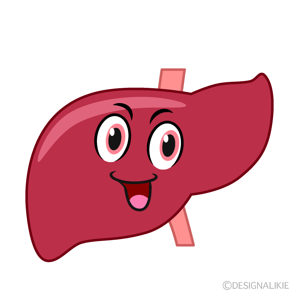 肝臓イラストのフリー素材 イラストイメージ