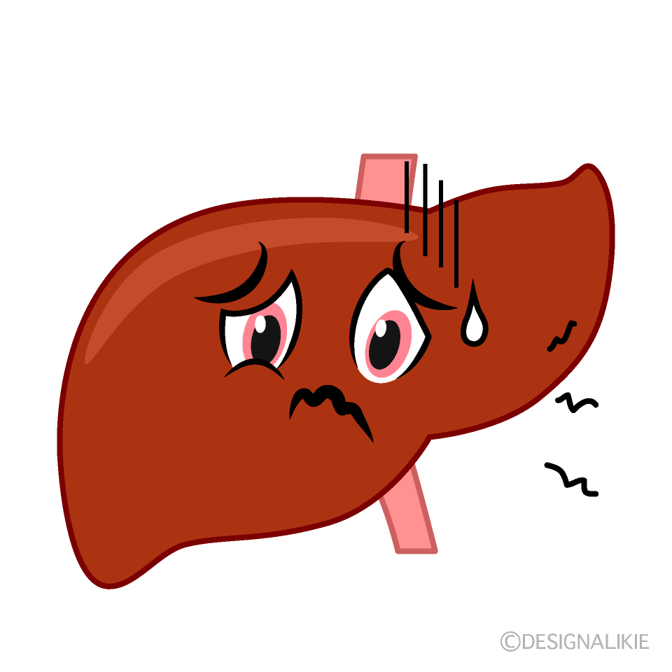 健康な肺の無料イラスト素材 イラストイメージ