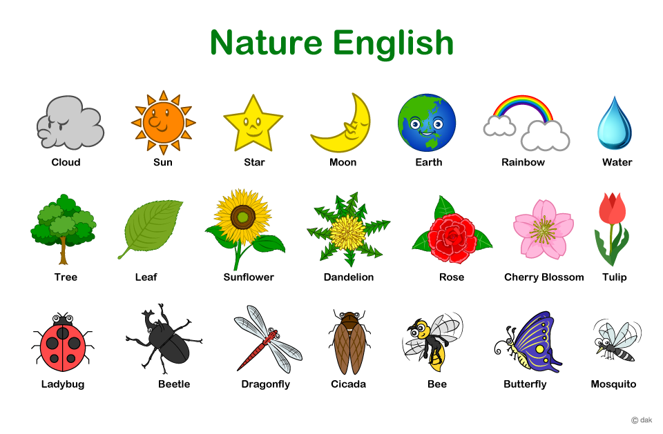 自然や花の子供用英語教材イラストのフリー素材 イラストイメージ