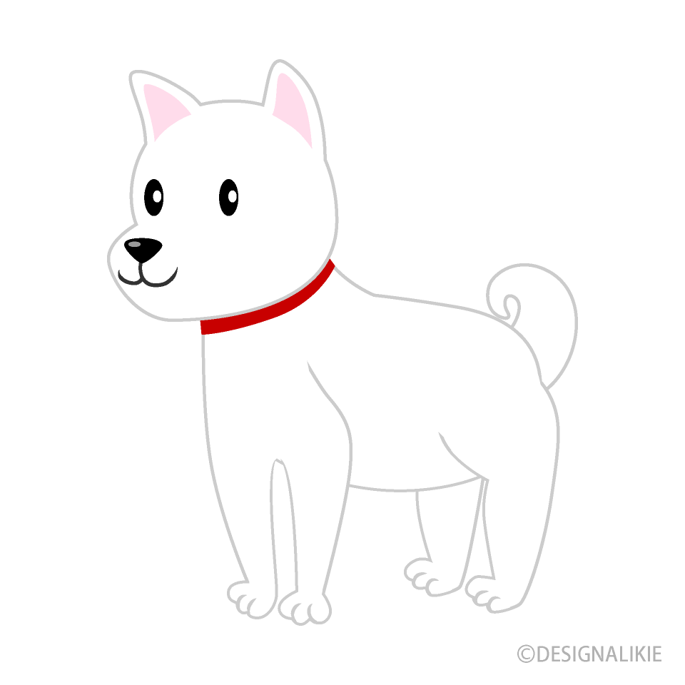 紀州犬イラストのフリー素材 イラストイメージ