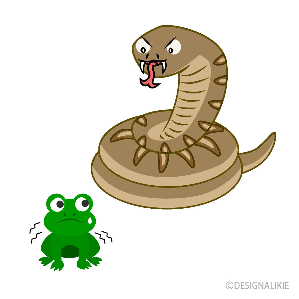 蛇に見こまれた蛙イラストのフリー素材 イラストイメージ