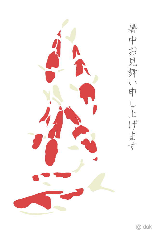 錦鯉の暑中見舞いイラストのフリー素材 イラストイメージ