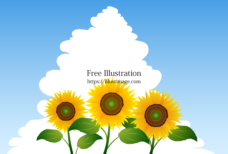 ひまわりの花と入道雲イラストのフリー素材 イラストイメージ