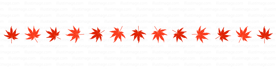モミジ葉っぱのライン 線の無料イラスト素材 イラストイメージ