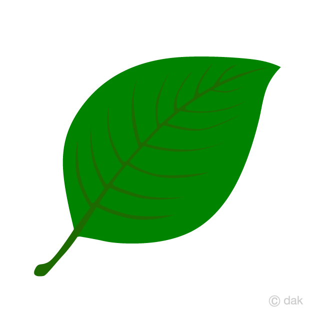 濃い緑色の葉っぱの無料イラスト素材 イラストイメージ