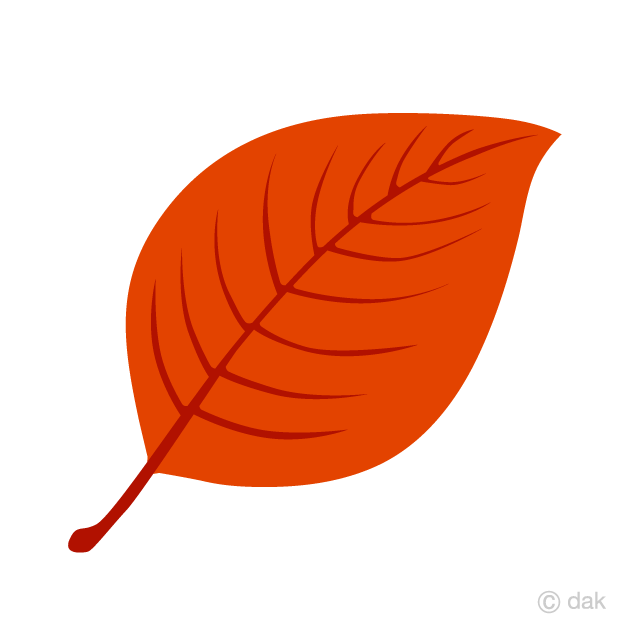 赤色の葉っぱイラストのフリー素材 イラストイメージ