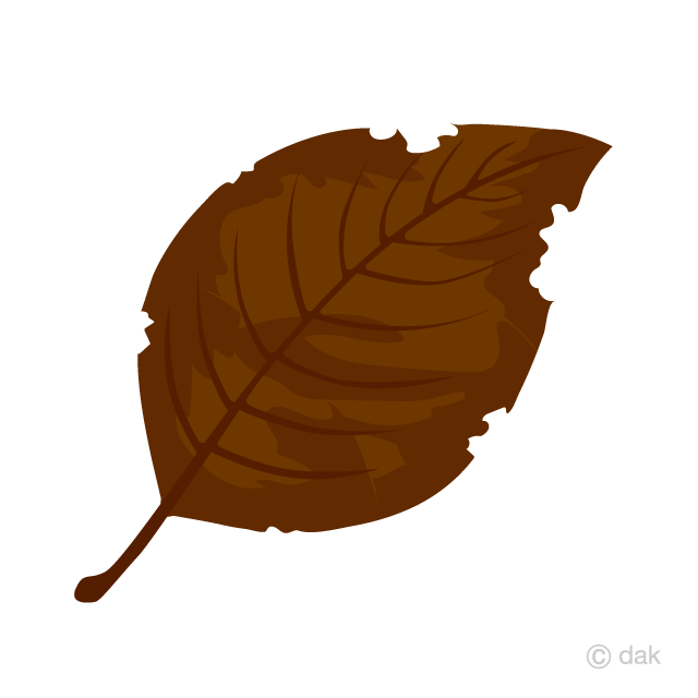 枯れた落ち葉の無料イラスト素材 イラストイメージ