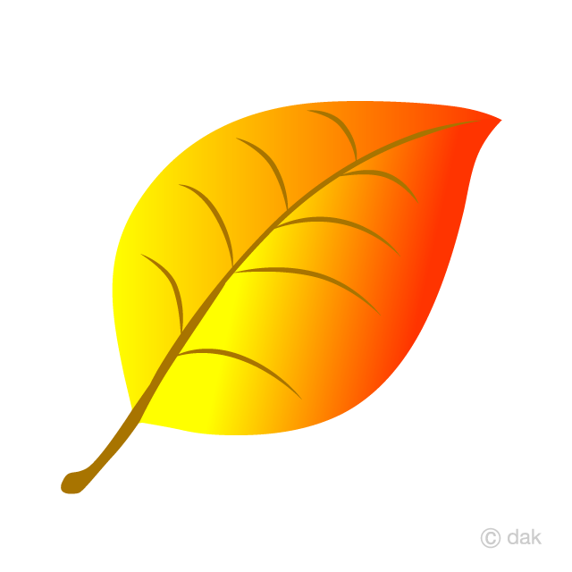 鮮やかに紅葉した葉っぱの無料イラスト素材 イラストイメージ