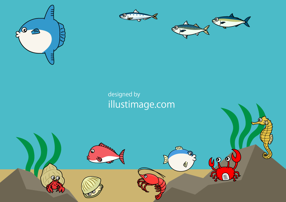 海の生き物フレームイラストのフリー素材 イラストイメージ