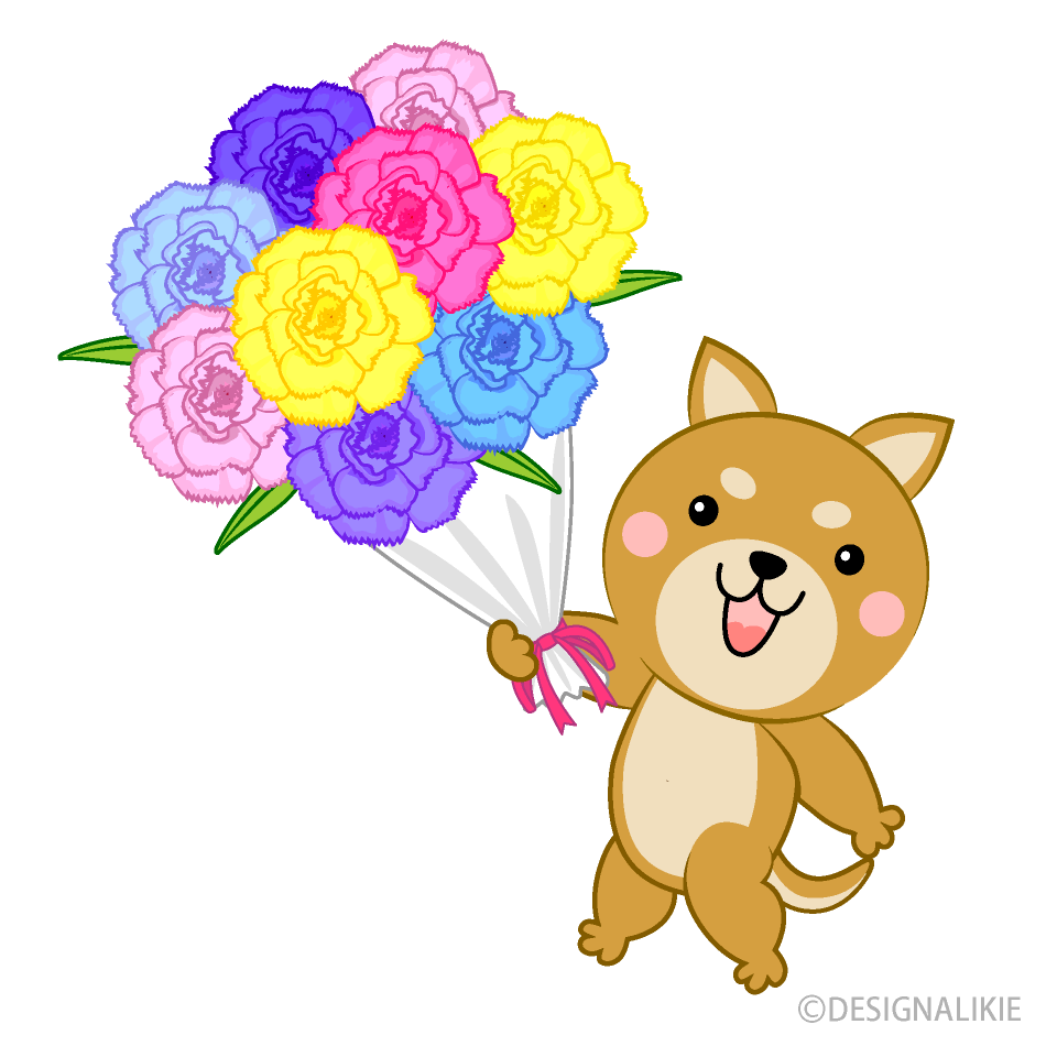 花束をプレゼントする柴犬イラストのフリー素材 イラストイメージ