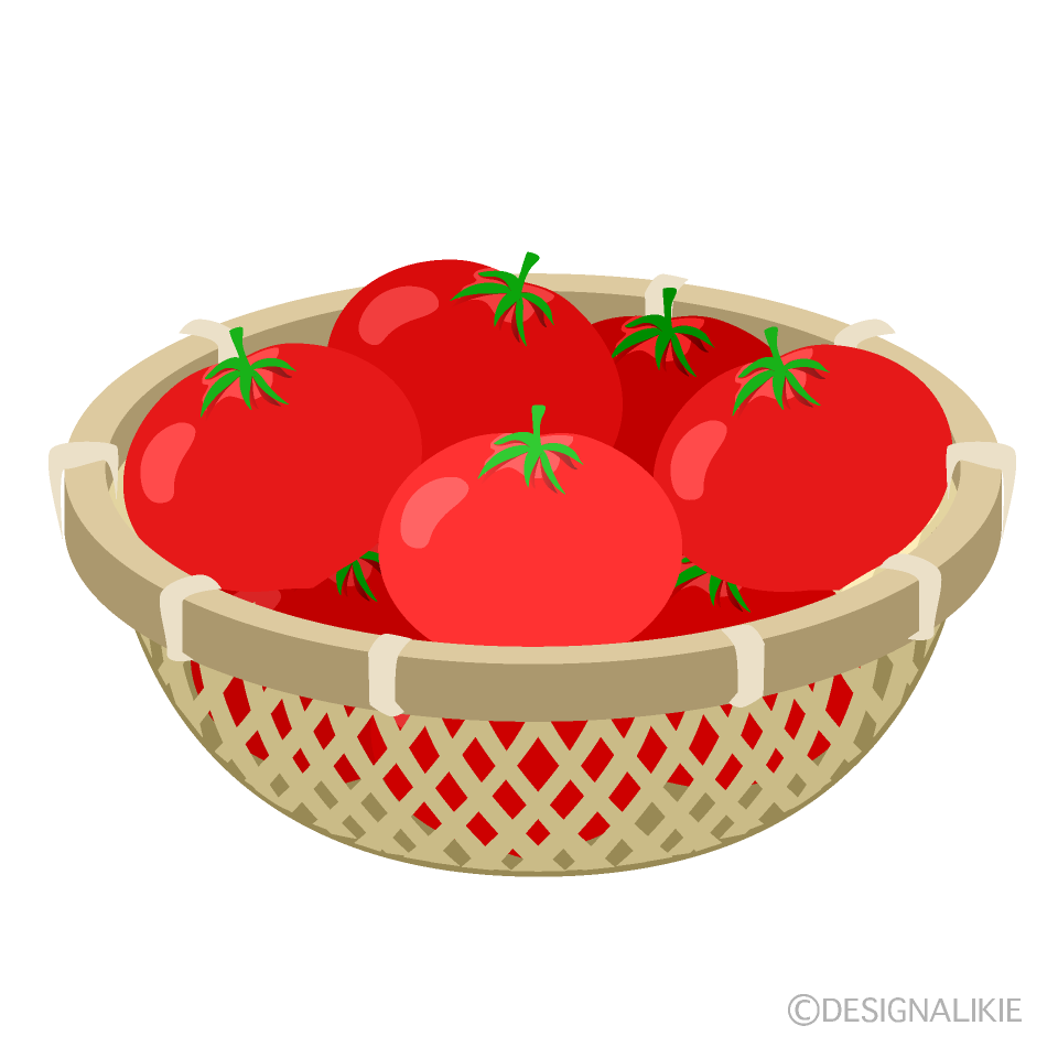 ザルいっぱいのトマトの無料イラスト素材 イラストイメージ