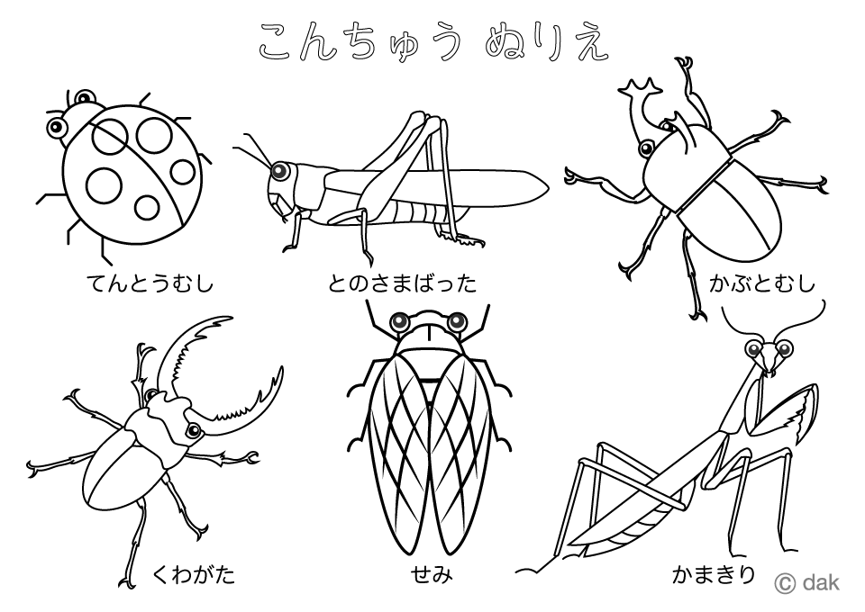 昆虫ぬりえの無料イラスト素材 イラストイメージ