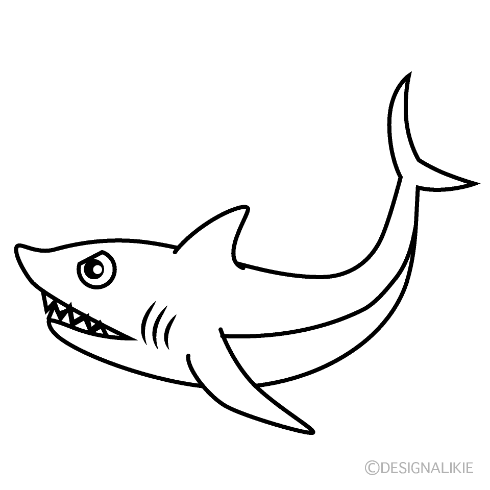 サメ 線画 イラストのフリー素材 イラストイメージ