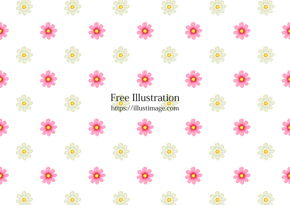 ピンク色コスモスの花柄壁紙の無料イラスト素材 イラストイメージ