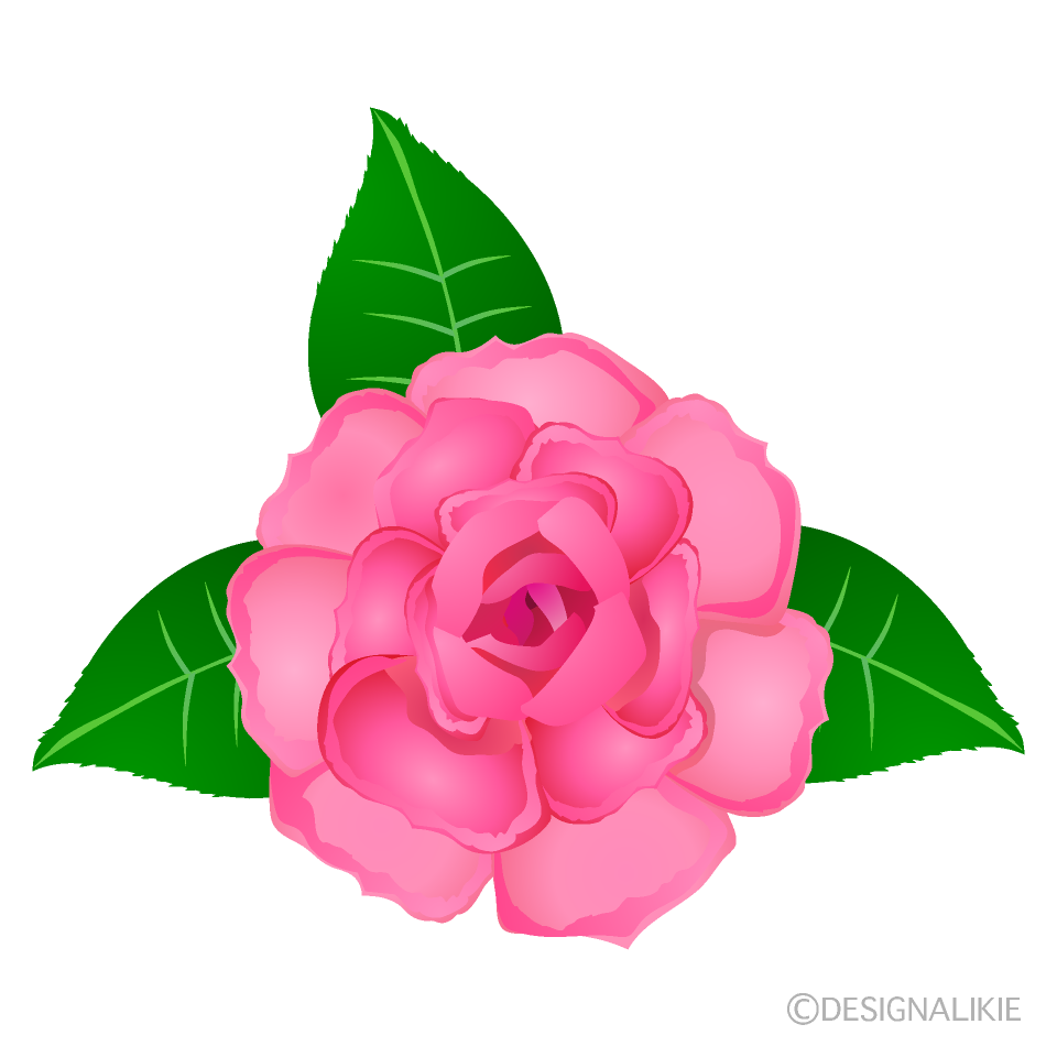 ピンクのバライラストのフリー素材 イラストイメージ