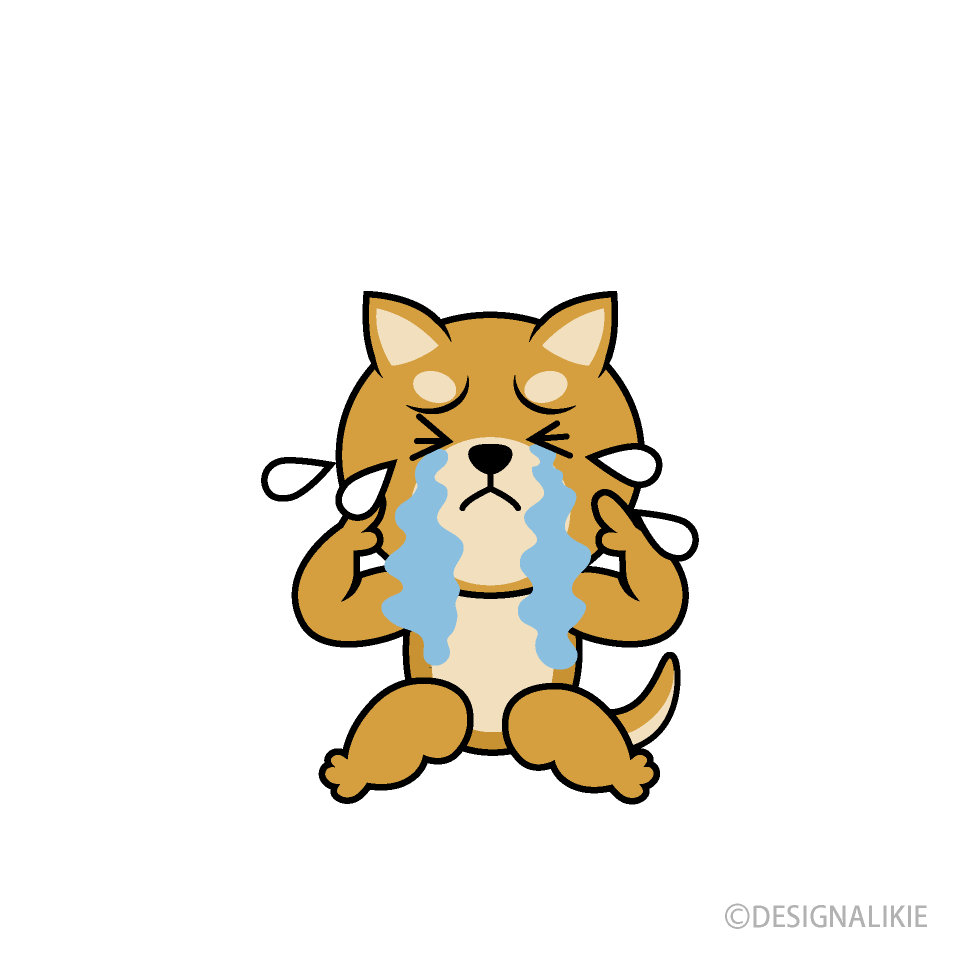 泣く柴犬キャライラストのフリー素材 イラストイメージ