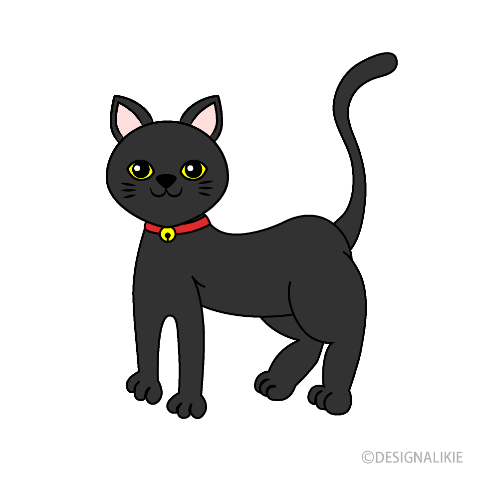 飼い猫の黒猫