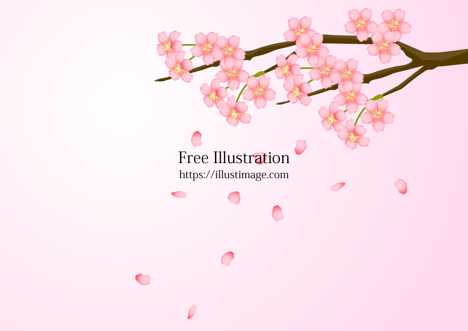 花びら散る桜イラストのフリー素材 イラストイメージ