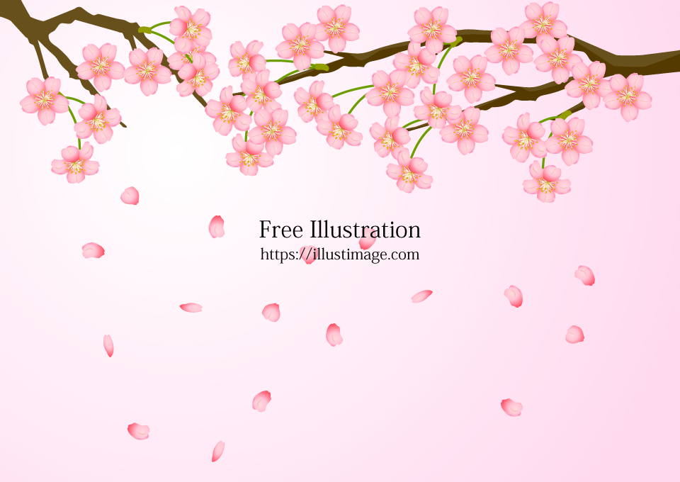 花びら散る満開の桜の無料イラスト素材 イラストイメージ