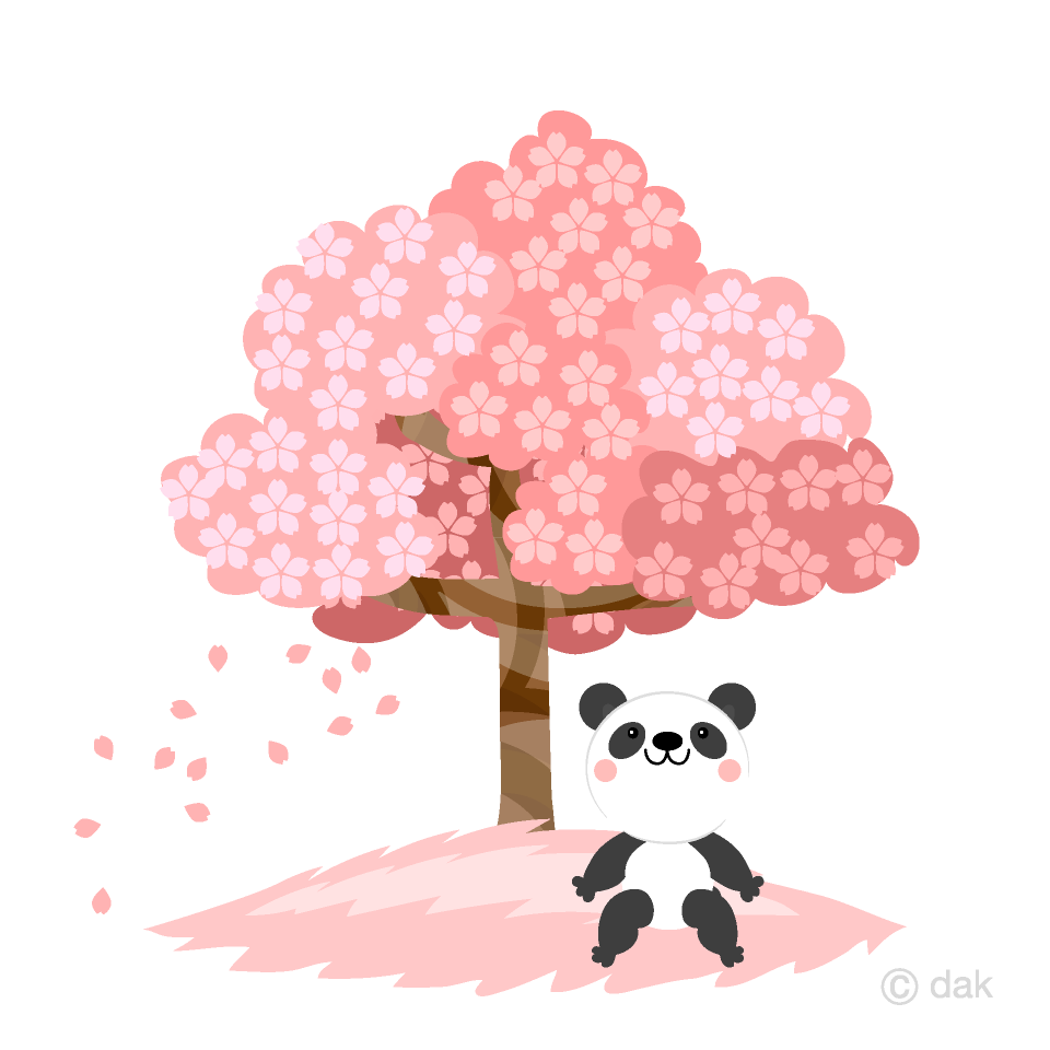 お花見するパンダの無料イラスト素材｜イラストイメージ