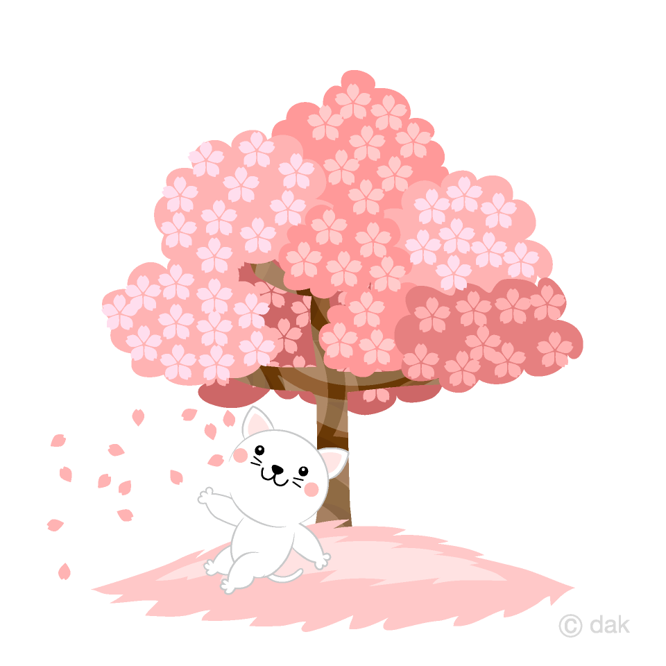 お花見する白猫キャラの無料イラスト素材 イラストイメージ